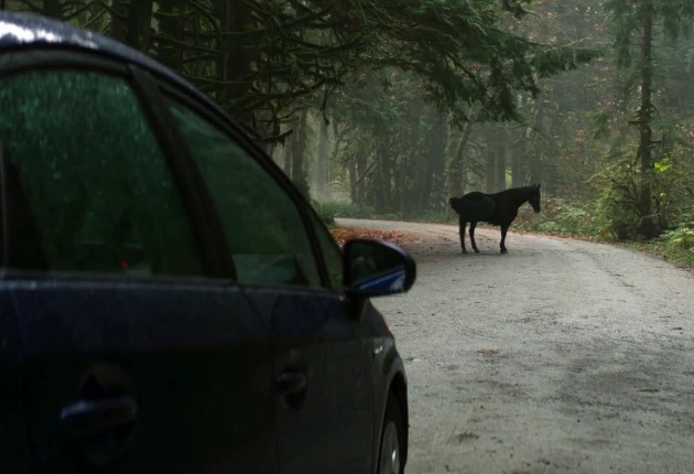 Превью из 8 серии 2 сезона сериала Перси Джексон и Олимпийцы